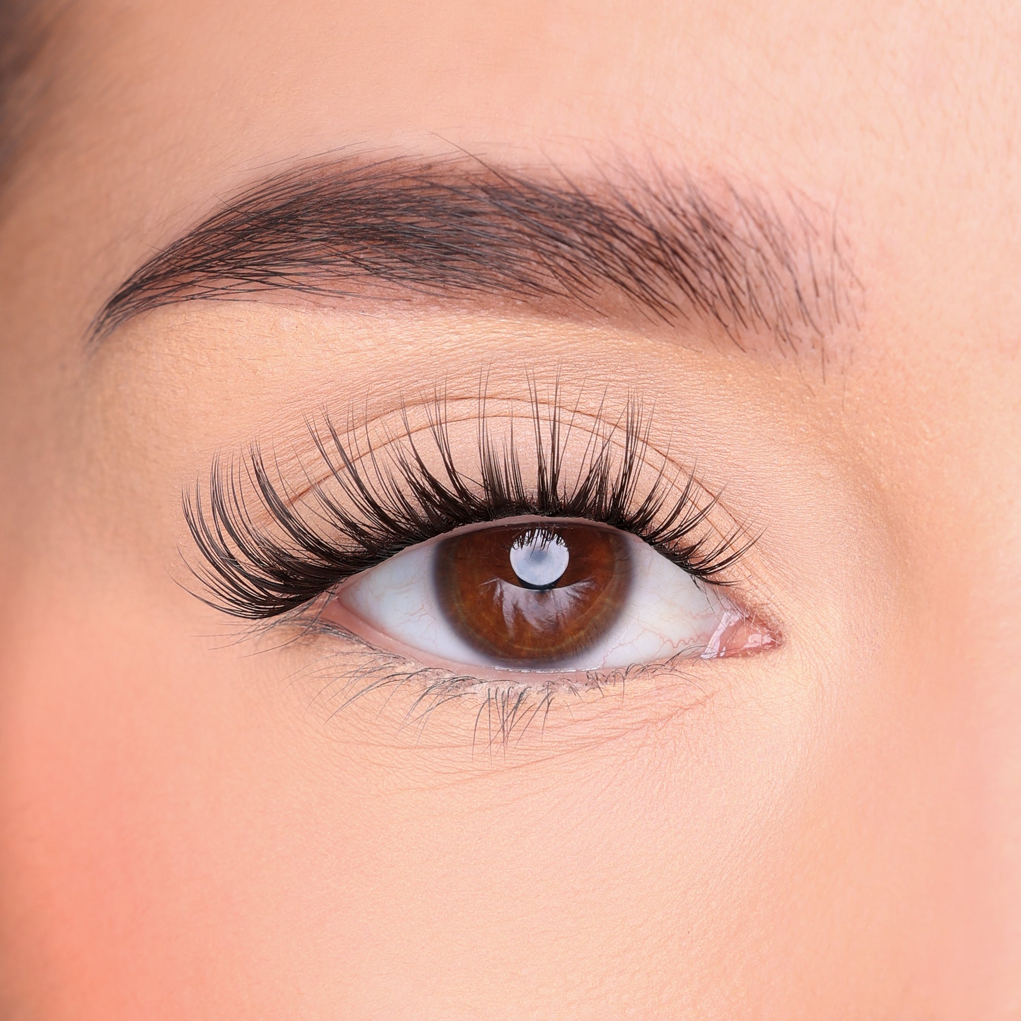 Where to sale buy false lashes